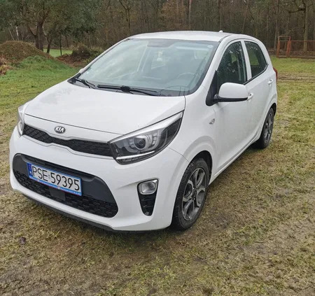 kia Kia Picanto cena 36900 przebieg: 85358, rok produkcji 2019 z Żerków